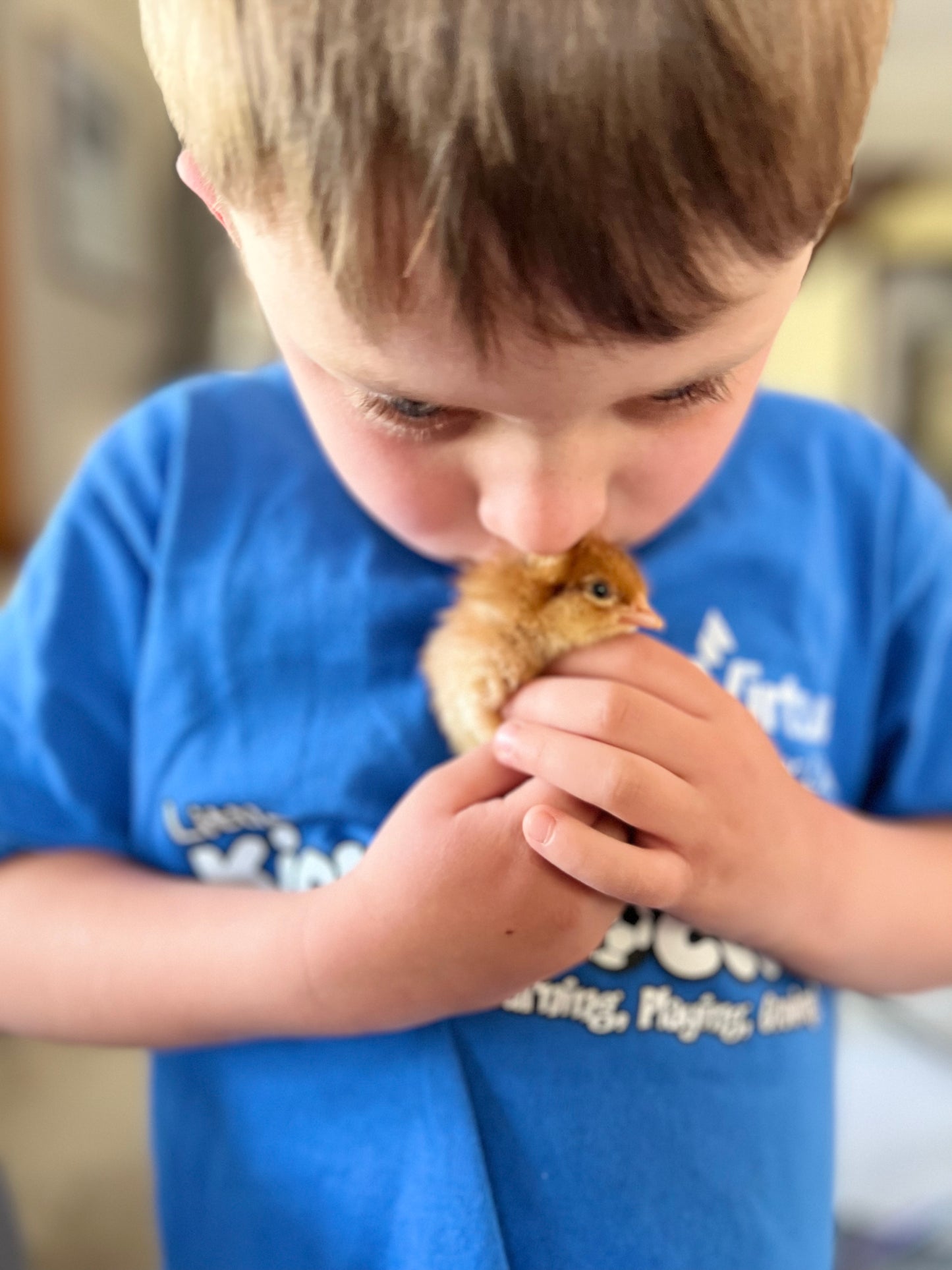 Hatch a Chick or Duck Program