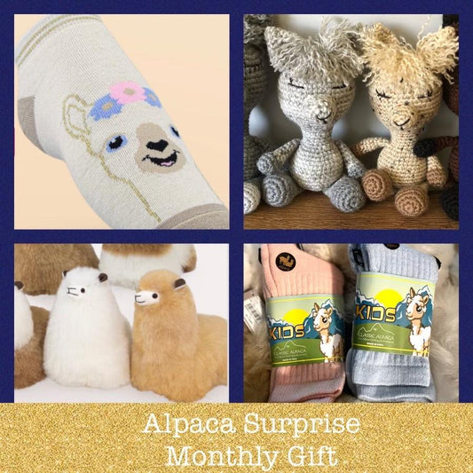 1 Full Year of Monthly Alpaca Surprise Boxes