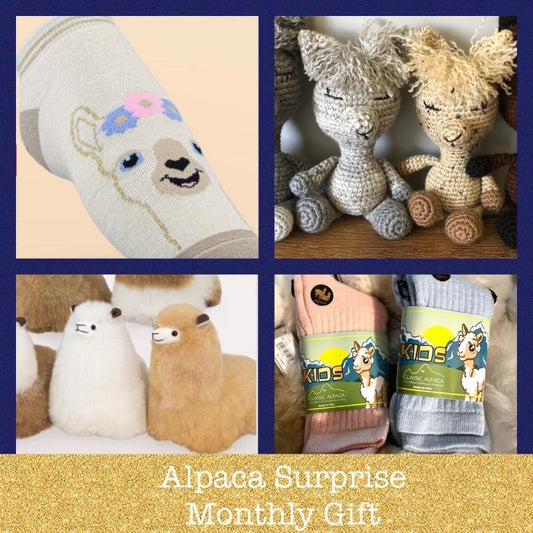 1 Full Year of Monthly Alpaca Surprise Boxes